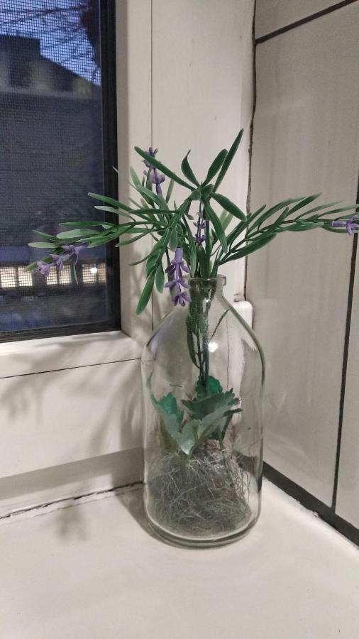Apartment Anna Λβιβ Εξωτερικό φωτογραφία